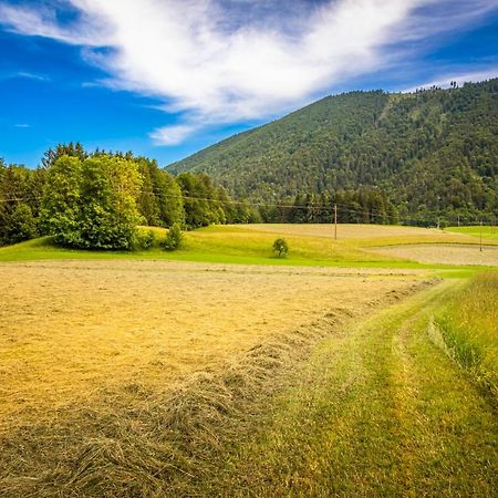 Appartamento Biohof Untergrabenbauer Lidaun Esterno foto