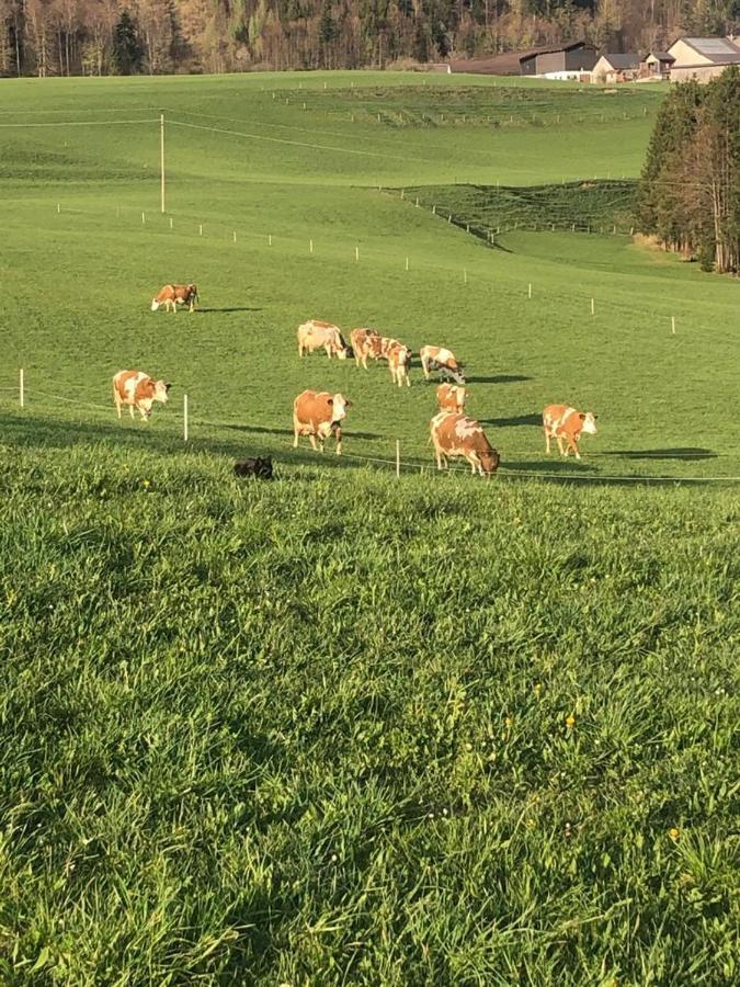 Appartamento Biohof Untergrabenbauer Lidaun Esterno foto