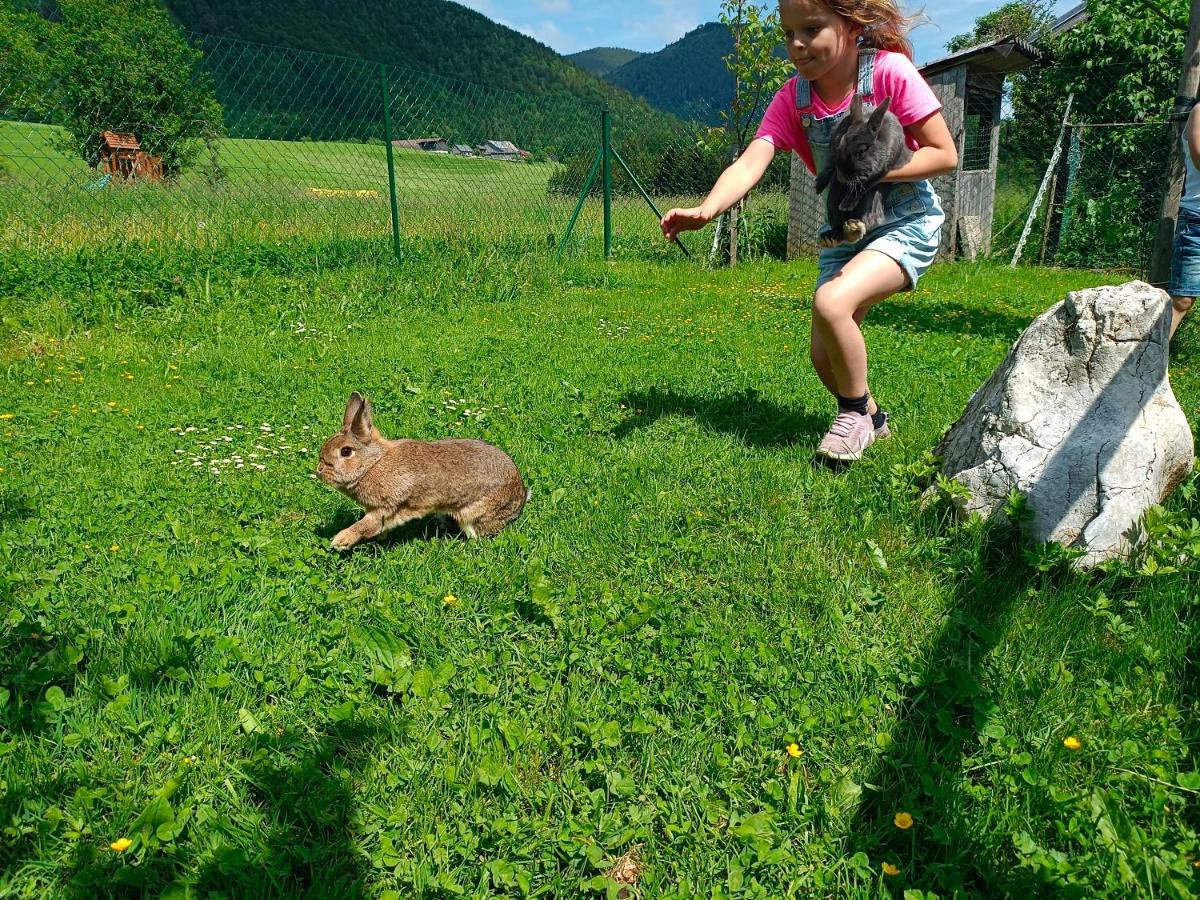 Appartamento Biohof Untergrabenbauer Lidaun Esterno foto