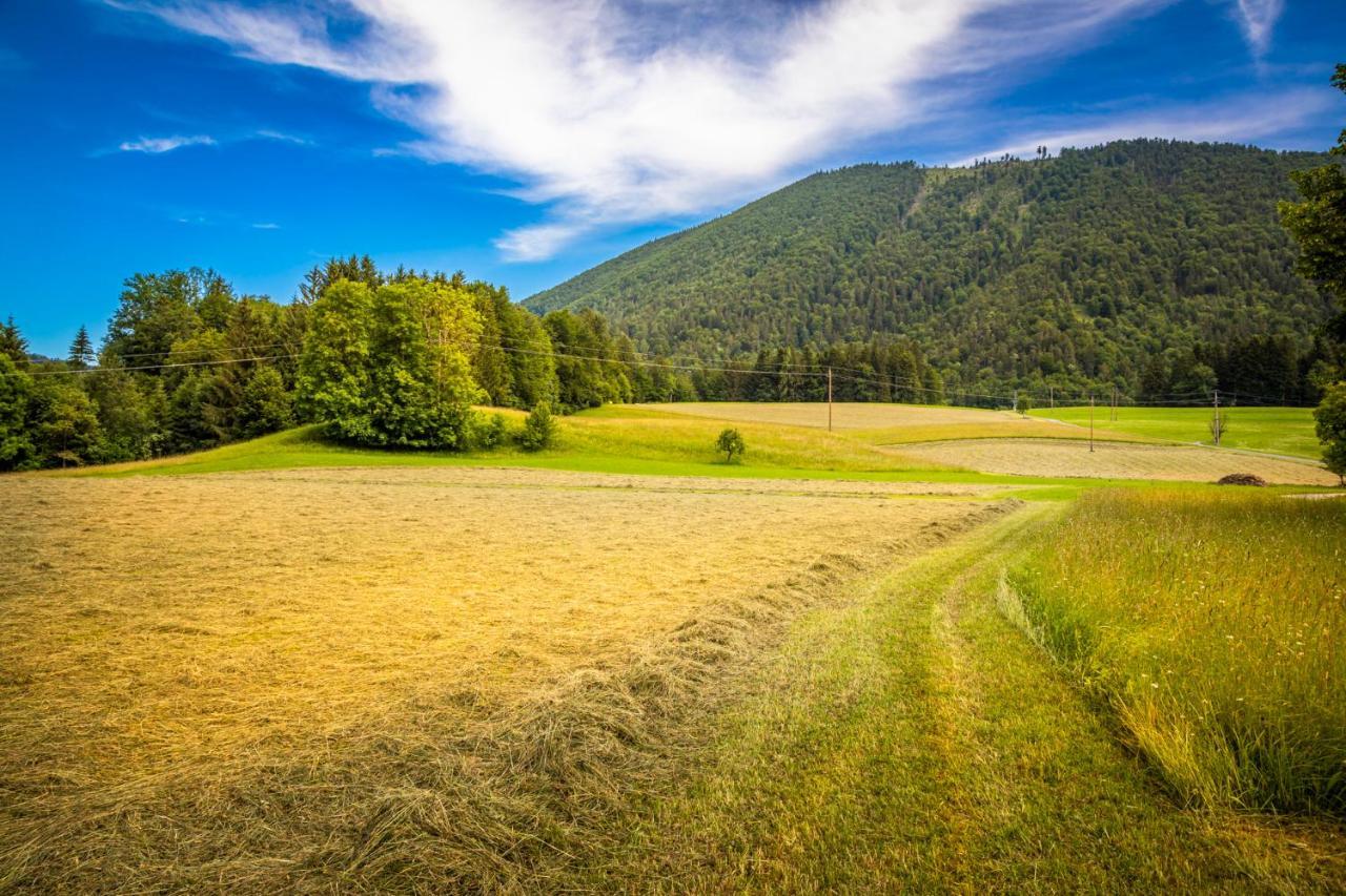 Appartamento Biohof Untergrabenbauer Lidaun Esterno foto