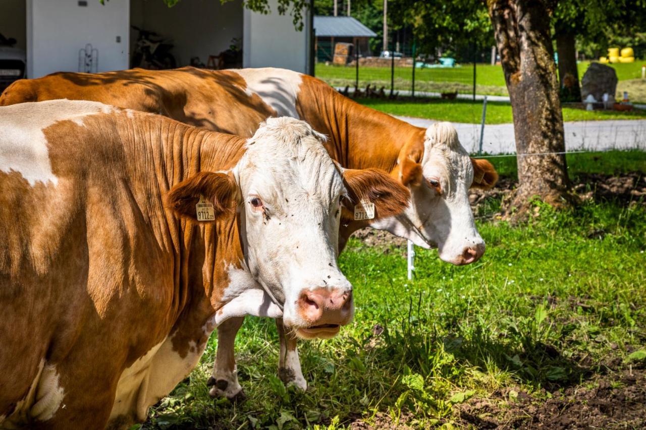 Appartamento Biohof Untergrabenbauer Lidaun Esterno foto