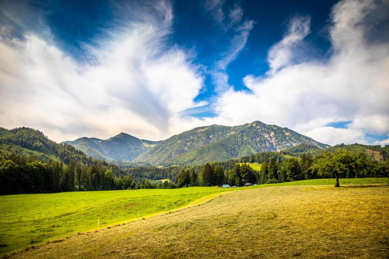 Appartamento Biohof Untergrabenbauer Lidaun Esterno foto