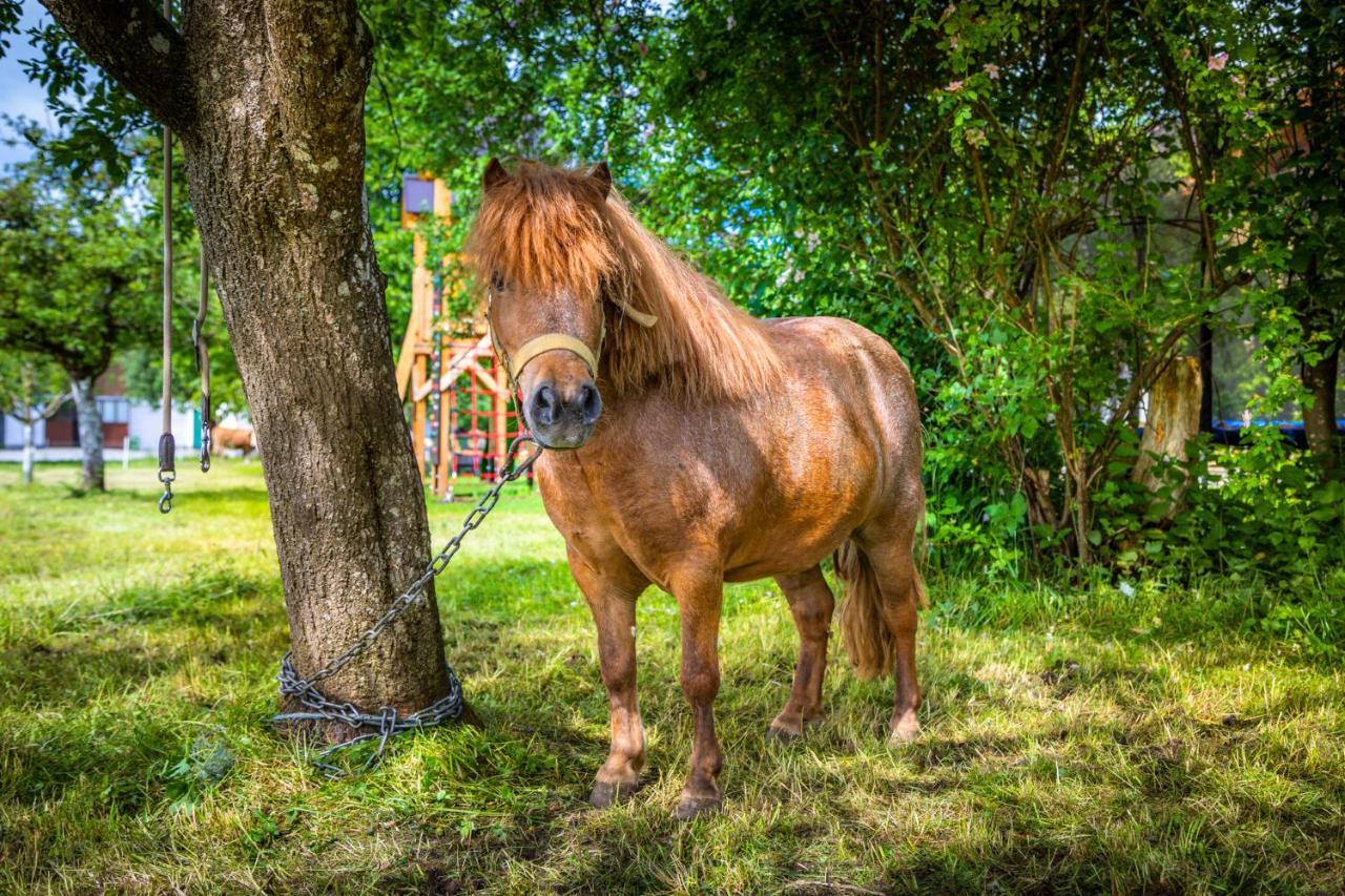 Appartamento Biohof Untergrabenbauer Lidaun Esterno foto