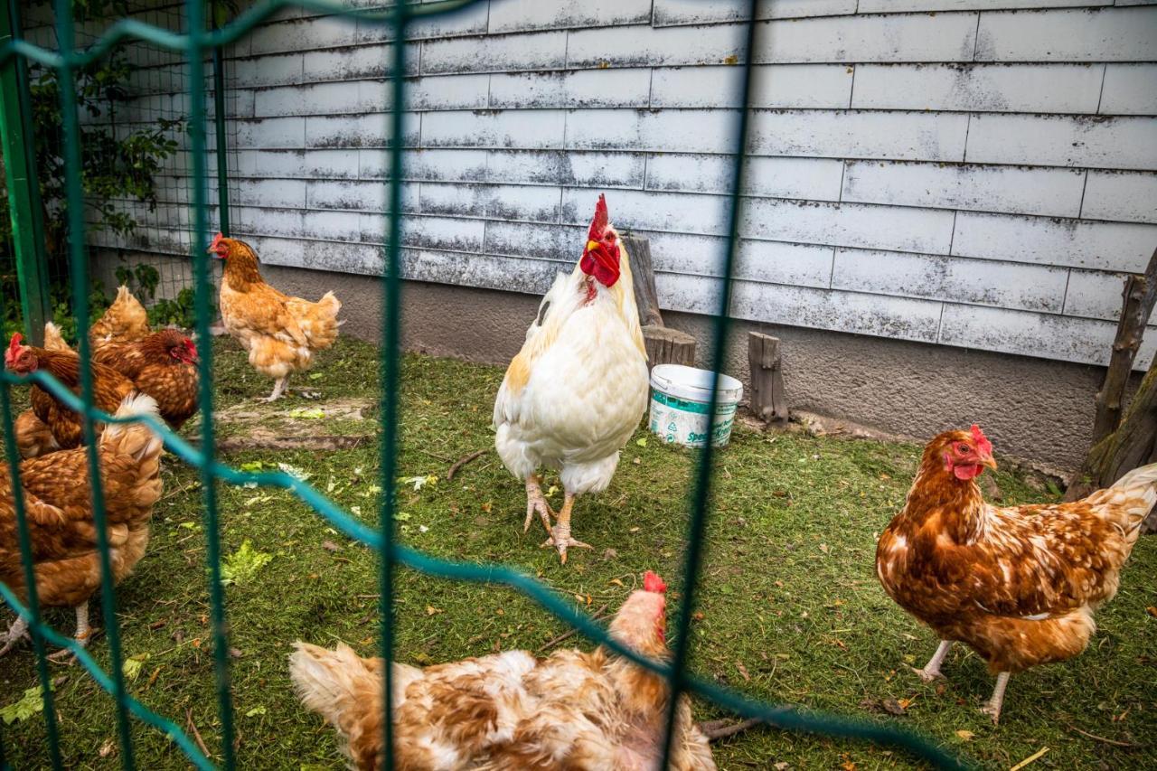 Appartamento Biohof Untergrabenbauer Lidaun Esterno foto