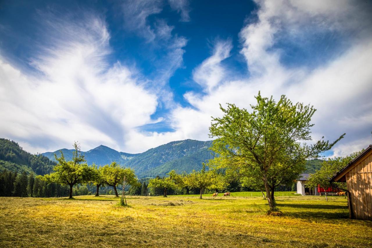 Appartamento Biohof Untergrabenbauer Lidaun Esterno foto